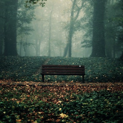 1920 x 1080 HD Wallpapers 1810